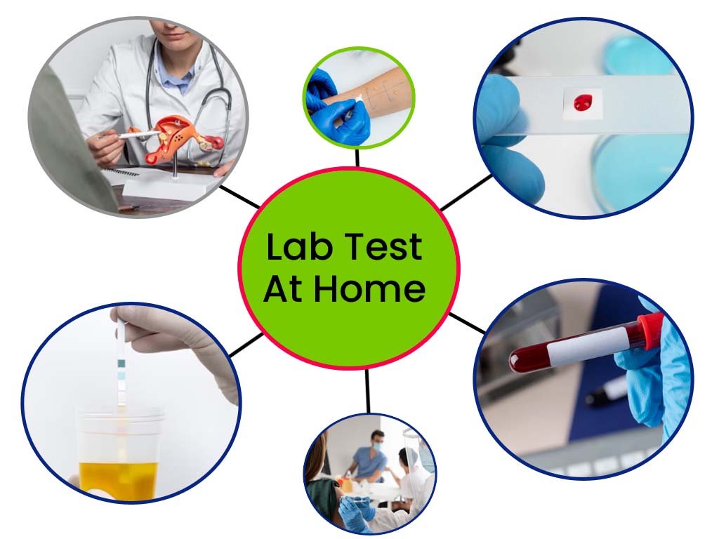 Lab Test At Home in Delhi NCR